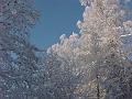 Lovely winter scene